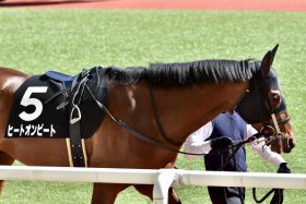 JRA横山武史「立場」変わって持ち味消えた!? 中山金杯（G3）勝負所で判断に迷い……、トップジョッキーに求められるハードル