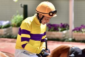 「激甘処分」岩田康誠ケイデンスコール再コンビに賛否の声!? 安田記念（G1）参戦にやったもん勝ちの現状、不正受給疑惑もフェードアウト目論むJRAのぬるま湯体質