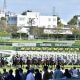 ディープインパクト「雪辱の凱旋門賞」制覇に王手! 薬物失格から15年……「16馬身差圧勝」スノーフォールがブックメーカー1番人気に