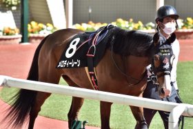 JRA重賞「100連敗」間近の主戦から頼れる男にスイッチは吉と出る⁉ タイトルホルダー姉の小さなアイドルが狙う長距離女王に名乗り