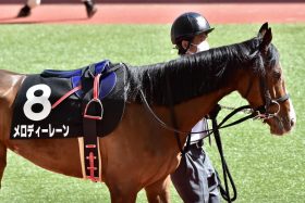 JRAアイドルと現役最強馬を産んだ「偉大なる母」が5年ぶりの受胎！ 交配相手は故・岡田繁幸氏が絶賛した血筋を引く新種牡馬