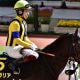 JRA天皇賞・春(G1)ディアスティマ「人気急降下」も安藤勝己氏称賛の大健闘6着! 急きょ乗り替わりで今年「芝2勝」騎手が見せた意地