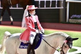 ゴールドシップ、カレンチャンらの母が一堂に集結！ 後にJRA合計G1・13勝、重賞33勝を生み出した伝説のエリザベス女王杯（G1）