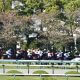 武豊「1着に飢えて」JRAから戒告 新馬8馬身差「大楽勝」の大器がクラシック黄信号…ドウデュースらが「見向きもしない」大阪杯の価値【週末GJ人気記事ぶった斬り!】