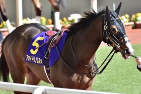 JRA安藤勝己氏「とんでもないオーナーや」金子真人オーナーが秋華賞（G1）の話題独占!?