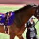 伝説の秋華賞(G1)、天皇賞・秋(G1)……元JRA安藤勝己氏がダイワスカーレットを語り尽くす!? 「ユタカちゃんが乗った方が……」