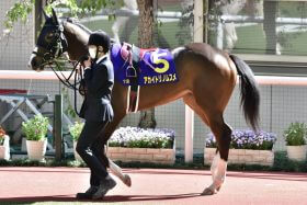 JRA ソダシとアカイトリノムスメ「2頭出し」金子真人オーナーが“迷”采配!? オークス（G1）C.ルメール「乗り替わり」はまさかの逆効果も