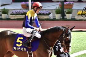 JRA 横山武史に迫るC.ルメールの影！ 好調土曜から一転して日曜は急ブレーキ、どん詰まりイカットにファンも“怒っと”？