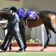 JRA アナザーリリックに「絶好」チャンス!? 秋華賞(G1) カレンブーケドール降板の屈辱も味わった苦労人が「過小評価」を覆す?