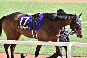 好調「武豊」よりも狙いたい騎手？ 高配当へ誘う〇〇の激走に期待