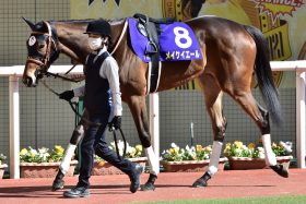 JRA適距離「解禁」武豊メイケイエールが魅せるのは暴走か!? 白毛一族はソダシだけじゃない、横山典弘も手を焼いた“やんちゃ娘”に折り合い新境地の期待