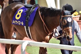 【スプリンターズS（G1）展望】大本命メイケイエールに浮上した「不安材料」…53kgナムラクレアとG1ホース2頭にもチャンスあり!?