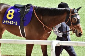 JRA武豊「最後の手段」1200m挑戦で起こった2つの誤算とは。「難しい馬ですね」1番人気メイケイエール7着惨敗……「４コーナーでは手応えがなかった」