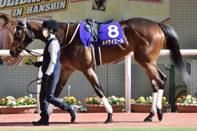 JRA メイケイエールの平地調教再審査に「疑問」の声!?　武豊「心配してなかった」単走ストレスフリーの合格に「意味あるのか」との声も