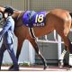 JRA 新人・松本大輝「油断騎乗」で騎乗停止。デビュー3カ月115戦2勝で新人王争いからほぼ脱落……早くも砕け散った「一鞍一鞍大切に」の目標