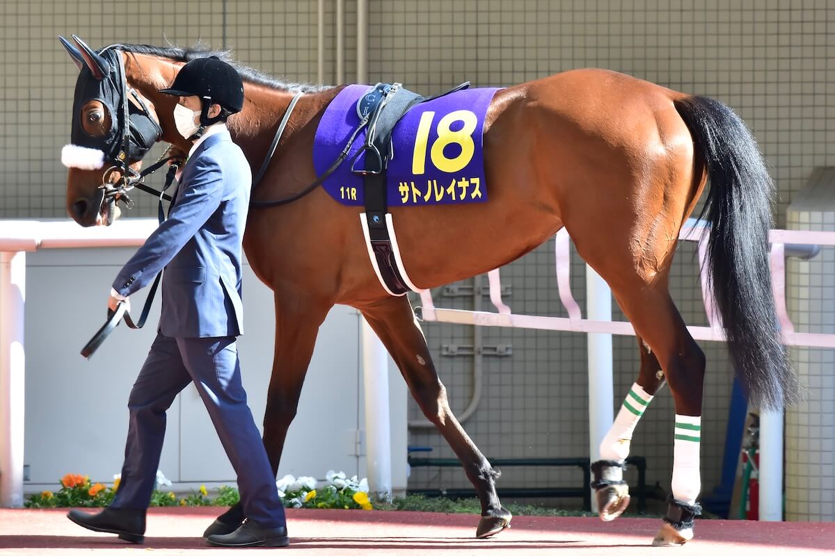 JRAウオッカとサトノレイナスの日本ダービーを徹底検証。女王ソダシに迫った「牝馬No.2」は牡馬に通用するのか？の画像1