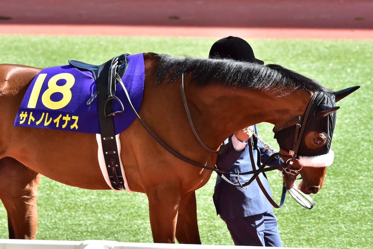 JRA 日本ダービー（G1）「出走ボーダーライン」急上昇!?　武豊ディープモンスター「想定外」の京都新聞杯（G2）へ……あの素質馬は無念の「除外」濃厚にの画像1