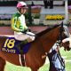 JRAセレクトセール「高額落札馬」はダービーを勝てない!? 日本ダービー(G1)サトノレイナスを “おねだり”した国枝栄調教師を襲う「不吉なジンクス」とは