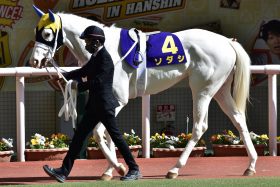 JRA ソダシのダート転向は「大失敗」の可能性あり!? 須貝尚介調教師「血統背景も物語っています」もダートが合わない理由