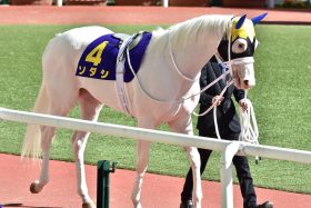 安田記念（G1）「警報級大雨」でソダシやばし!? ジャックドールと「共倒れ」の危機