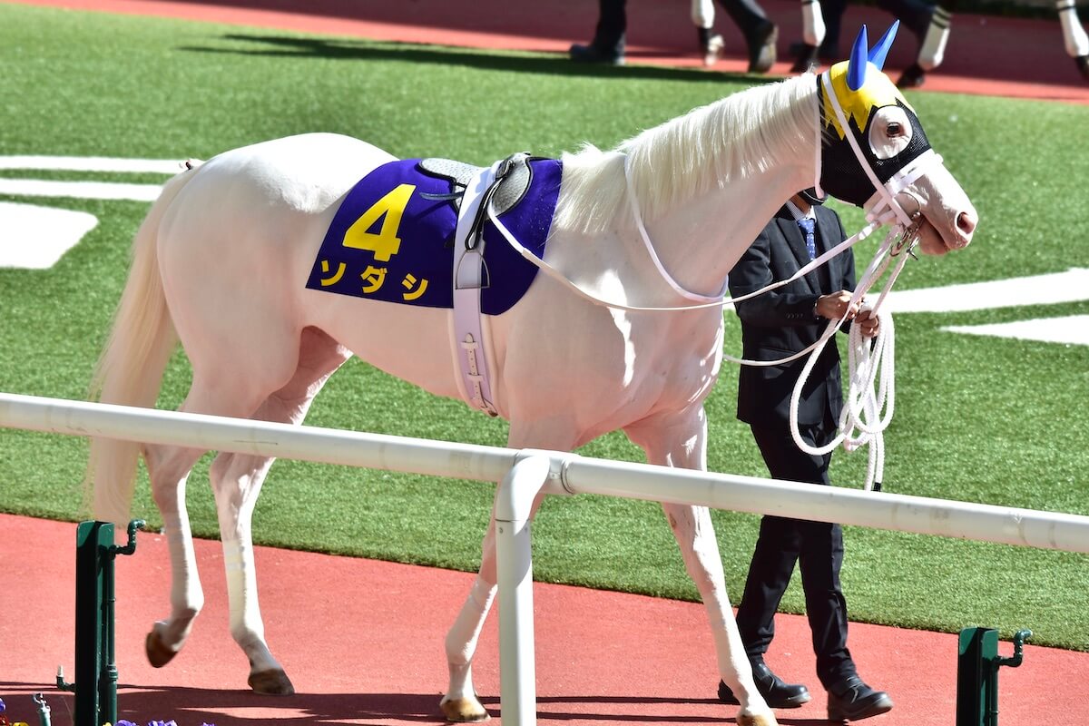 JRA秋華賞（G1）白毛の女王ソダシは「何故」馬群に沈んだのか。『みんなのKEIBA』で細江純子さんが目撃したアクシデントとはの画像1