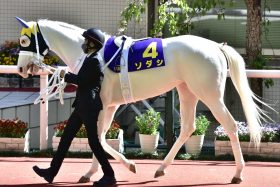 【ヴィクトリアマイル（G1）展望】連覇狙うソダシはD.レーンと新コンビ！二冠牝馬スターズオンアースと初対決！アートハウスは無念の骨折で回避