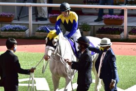 JRAフェブラリーS（G1）ソダシは「本当」に復活したといえるのか？ 惨敗続きにストップも……、元JRA安藤勝己氏が指摘した“好走”を喜べない「決定的」理由