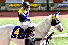 アイドルから名女優に成長したソダシ…父に捧げる復活勝利は歴代1位の記録も視野