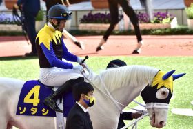 JRAソダシ「甘やかし」の絶好展開も12着轟沈……チャンピオンズC（G1）「敗因」はダート適性にあらず!?　歴史的「豹変」を知る元名ジョッキーが突きつけた“現実”とは