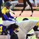 JRA 一歩間違えれば……チャンピオンズC(G1)優勝テーオーケインズを襲った真夏の「悲劇」 痛ましい事故を乗り越えて掴んだ“帝王の座”