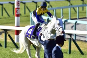 JRAソダシ従妹「白毛馬」ハイアムズビーチがデビュー戦快勝！ 北村宏司「すごく落ち着いていた」もラストスパートに課題