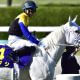 JRAオークス(G1)桜花賞馬ソダシに厳しい現実「125頭挑戦も未勝利」「2年で44戦1勝」最大の試練となる2400mの適性を徹底検証