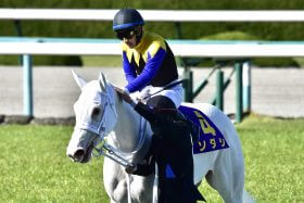 JRA大外枠のソダシに「トラウマ再燃」の大ピンチ!? 元JRA藤田伸二「将雅、そんなイジメんな」…ヴィクトリアマイル（G1）で因縁の人馬と再会