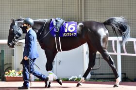 JRA ヴィクトリアマイル（G1）ソングライン「勝率1.9％」の絶望データ!? 生涯最高の舞台で父の“汚名”を晴らせるか