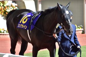 美味しすぎたソングライン「単勝740円」の配当…過去に退けたシュネルマイスター、ソダシよりも「格下」扱いされた理由とは