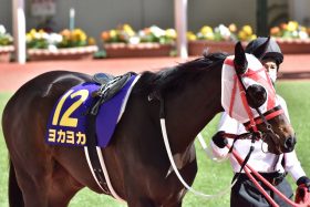 CBC賞（G3）ヨカヨカに続け！　2021年九州産馬の注目馬6頭