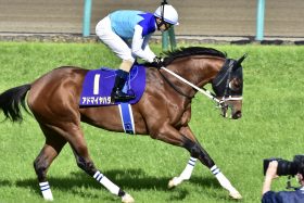 JRA「指示無視」M.デムーロ、武豊と共に「ルメール潰し」成功も最下位……調教師「ポジション取りが大事」も“実質”最後方からになった舞台裏