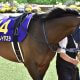 JRA 苦労人ダービージョッキーが「因縁」JRAの舞台に殴り込み!? AJCC(G2)で初挑戦も侮るべからず?「ノーマーク」でこそ本領発揮のG1馬