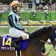JRA岩田康誠ついに「干され」始めた!? ラジオNIKKEI賞(G3)で「重賞100勝&全10場重賞制覇」にWリーチで出るか“挑発”ガッツポーズ