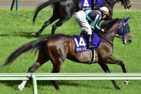 JRAソーヴァリアント圧勝で、有馬記念（G1）「あの曲者」が急浮上!? エフフォーリア、タイトルホルダーの影に隠れた「第3の刺客」とは