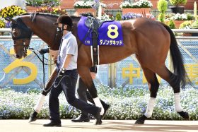 JRA【中山記念（G2）展望】川田将雅「楽しみ」ダノンザキッドVS高橋祥泰「有終の美」カラテ！ 藤沢和雄「最後の3頭出し」にも注目