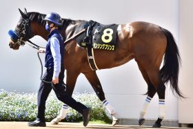 JRA「最後の未勝利戦」を敗れて中央追放からの逆転ホームラン！ 地方の怪物候補が海外重賞制覇を遂げたシンデレラストーリーに主戦騎手の評価急落？