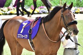 JRA有馬記念で決着！どこよりも早く2021年JRA年度代表馬を検証。天皇賞・秋＆有馬記念連勝のエフフォーリアと海外G1総なめ歴史的快挙ラヴズオンリーユーの一騎打ちか？