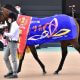 JRAセレクトセール「高額落札馬」はダービーを勝てない!? 日本ダービー(G1)サトノレイナスを “おねだり”した国枝栄調教師を襲う「不吉なジンクス」とは