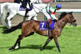 JRA大阪杯（G1）凡走エフフォーリアに「2つの呪い」が直撃!? 最強馬を襲った父と逆神のダブルパンチ……、デアリングタクトの復帰にも逆風