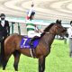 JRA キングマンを覚えておいて損はなし!? シュネルマイスターNHKマイルC(G1)制覇、「ブレイク」必至の注目種牡馬が日本競馬界に来襲!