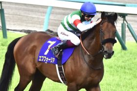 JRA関西厩舎と“契り”交わした兄・横山和生VS皐月賞（G1）制覇を手土産に函館凱旋の弟・横山武史！　今年の夏競馬は仁義なき“兄弟対決”勃発？