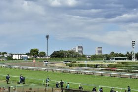 第二のタスティエーラ、ソールオリエンスがこの中に!? 「POG向き2歳牡馬」厳選5頭！