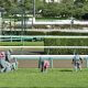 何故、今村聖奈ではなく富田暁だったのか。単勝112.6倍で初の重賞制覇… 今村聖奈、角田大河ら活躍の裏で2年目「0勝」の大苦戦 池添謙一「イジメですね」オルフェーヴルでも現役最強の座が陥落【週末GJ人気記事ぶった斬り!】