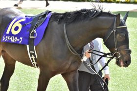 JRAマイラーズC（G2）「2戦連続レコード勝ち」の大器が岩田望来と新コンビ！ ハイレベル現4歳マイル戦線の「元・エース」が復活を期す！